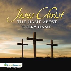 Meet your Posher, Marcia